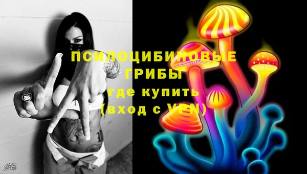амф Ельня