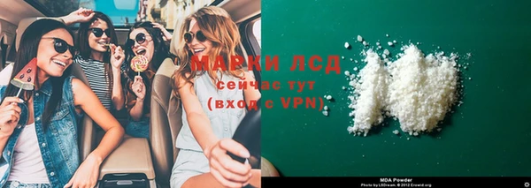 амф Ельня