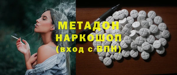 амф Ельня