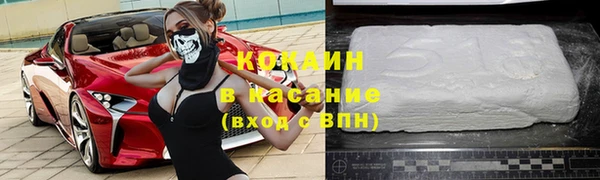 амф Ельня