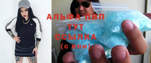 амф Ельня