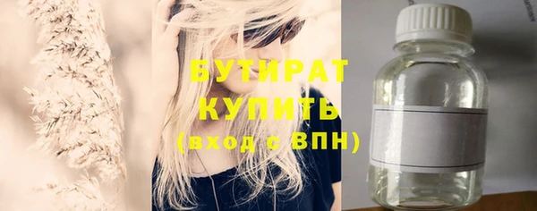 амф Ельня