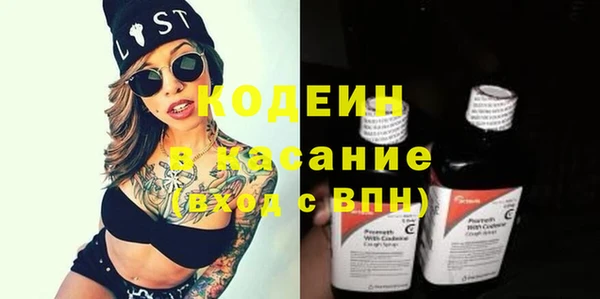 амф Ельня