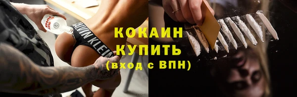 амф Ельня