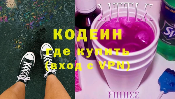 амф Ельня