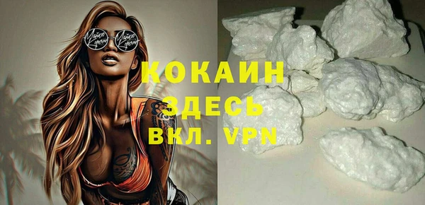 амф Ельня