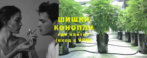 амф Ельня