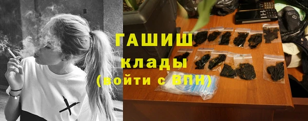 амф Ельня
